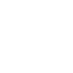 ce logo Island Park